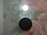 Настенный светильник (Бра) Totezis, Черный из Китая