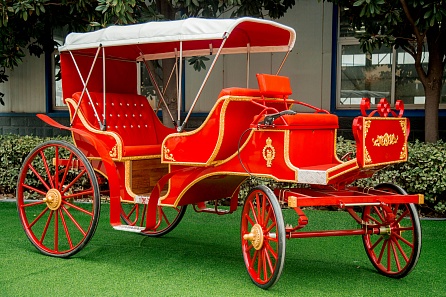  Рикша Карета Royal carriage из Китая